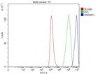 hnRNP U Antibody in Flow Cytometry (Flow)