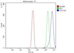 UGT1A3 Antibody in Flow Cytometry (Flow)