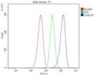 Galectin 2 Antibody in Flow Cytometry (Flow)