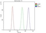 ERAP2 Antibody in Flow Cytometry (Flow)