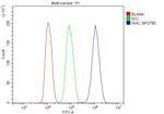 WAC Antibody in Flow Cytometry (Flow)