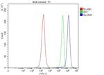 SLC5A7 Antibody in Flow Cytometry (Flow)