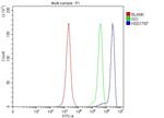 HSD17B7 Antibody in Flow Cytometry (Flow)