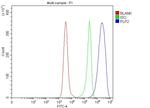 PLP2 Antibody in Flow Cytometry (Flow)