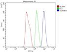 SEMA6A Antibody in Flow Cytometry (Flow)