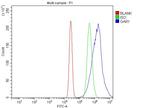 NOLA1 Antibody in Flow Cytometry (Flow)