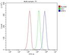 GSPT1/2 Antibody in Flow Cytometry (Flow)