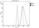 THEM4 Antibody in Flow Cytometry (Flow)