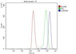 LAR4B Antibody in Flow Cytometry (Flow)