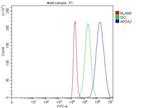 AP2A2 Antibody in Flow Cytometry (Flow)