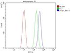 SEZ6L Antibody in Flow Cytometry (Flow)