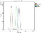 BDH1 Antibody in Flow Cytometry (Flow)