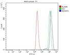 B3GNT2 Antibody in Flow Cytometry (Flow)