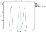 EPB41L5 Antibody in Flow Cytometry (Flow)