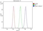 HOXD11 Antibody in Flow Cytometry (Flow)