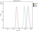 LSM8 Antibody in Flow Cytometry (Flow)