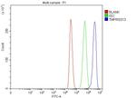 TMPRSS13 Antibody in Flow Cytometry (Flow)