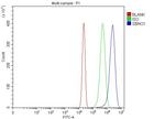 SBNO1 Antibody in Flow Cytometry (Flow)