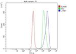 L1RE1 Antibody in Flow Cytometry (Flow)