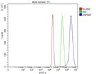 ZNF609 Antibody in Flow Cytometry (Flow)