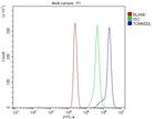 TOMM20L Antibody in Flow Cytometry (Flow)