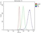 CTH Antibody in Flow Cytometry (Flow)