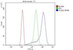 KV1.2 (KCNA2) Antibody in Flow Cytometry (Flow)