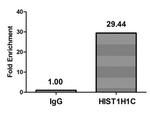 Mono-methyl-Histone H1.2 (Lys118) Antibody in ChIP Assay (ChIP)