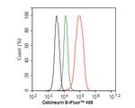 Calcineurin B Antibody in Flow Cytometry (Flow)