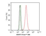 WDR77 Antibody in Flow Cytometry (Flow)