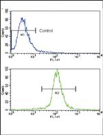 Caspase 3 Antibody in Flow Cytometry (Flow)