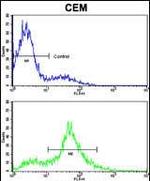 EphA4 Antibody in Flow Cytometry (Flow)