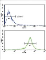 FGFR4 Antibody in Flow Cytometry (Flow)