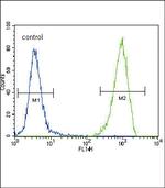 FLT3 Antibody in Flow Cytometry (Flow)