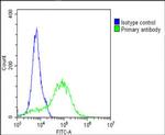 ROR1 Antibody in Flow Cytometry (Flow)