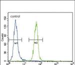 Fyn Antibody in Flow Cytometry (Flow)