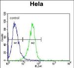 c-Raf Antibody in Flow Cytometry (Flow)