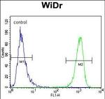 MUC20 Antibody in Flow Cytometry (Flow)