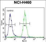 Acetylcholinesterase Antibody in Flow Cytometry (Flow)