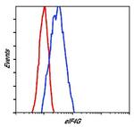 eIF4G Antibody in Flow Cytometry (Flow)