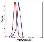 PP2A alpha Antibody in Flow Cytometry (Flow)