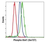 Phospho-STAT1 (Ser727) Antibody in Flow Cytometry (Flow)