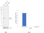 GRB2 Antibody in Western Blot (WB)