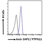 SHP2 Antibody in Flow Cytometry (Flow)