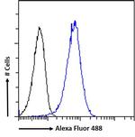 Dynactin 1 Antibody in Flow Cytometry (Flow)