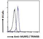 MURF2 Antibody in Flow Cytometry (Flow)