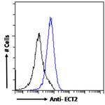 ECT2 Antibody in Flow Cytometry (Flow)