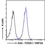 FOXA1 Antibody in Flow Cytometry (Flow)