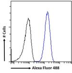 ATP6IP2 Antibody in Flow Cytometry (Flow)