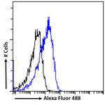 ORP5 Antibody in Flow Cytometry (Flow)